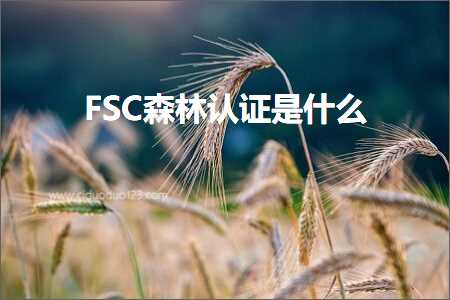 跨境电商知识:FSC森林认证是什么