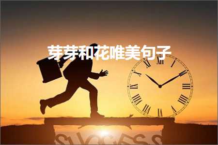 鐝嶆儨浜蹭汉鐨勫浘鐗囨枃瀛楀浘鐗囧敮缇庡彞瀛愶紙鏂囨363鏉★級