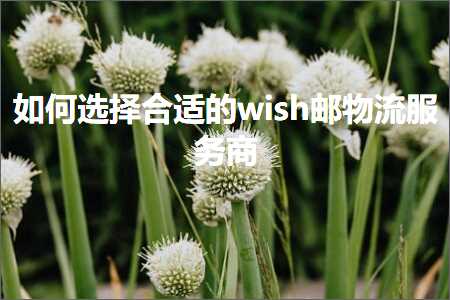 跨境电商知识:如何选择合适的wish邮物流服务商