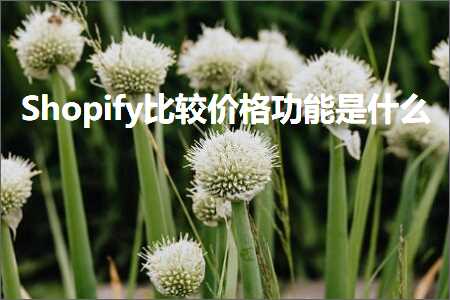 璺ㄥ鐢靛晢鐭ヨ瘑:Shopify姣旇緝浠锋牸鍔熻兘鏄粈涔? width=