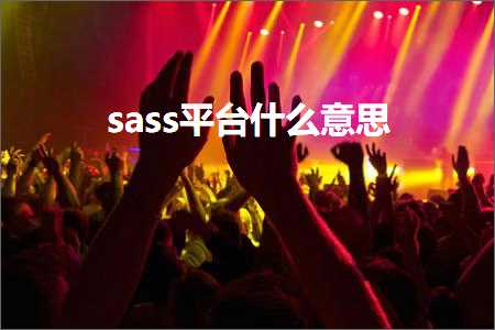 跨境电商知识:sass平台什么意思